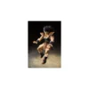 Bandai Tamashii - Dragon Ball Z - SHF SHFiguarts - Raditz