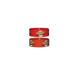 Big Bang Theory Bracelet Bazinga