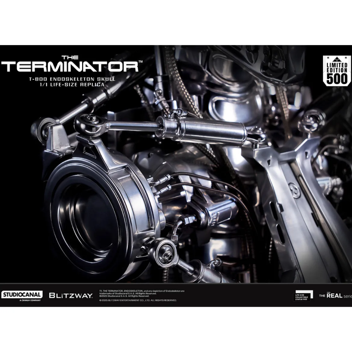 Blitzway - T800 Endoskeleton Skull 1/1 Life Size - The Terminator
