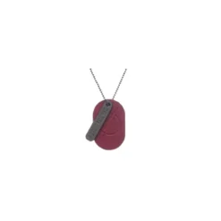 Collier Pendentif - DC COMICS DOG TAG FLASH CENTRAL CITY