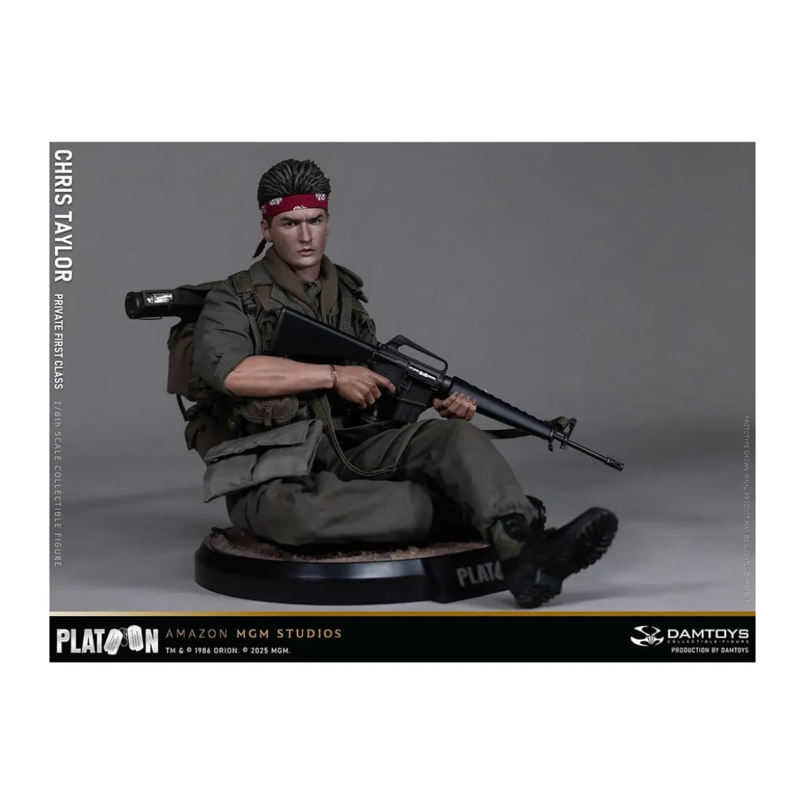 DAMTOYS - Platoon - Chris Taylor 1/6 Collectible