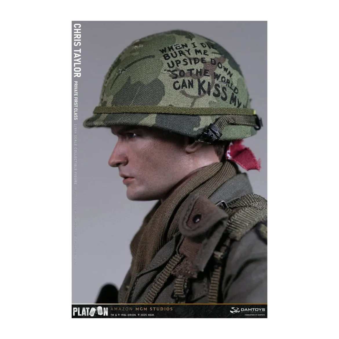 DAMTOYS - Platoon - Chris Taylor 1/6 Collectible