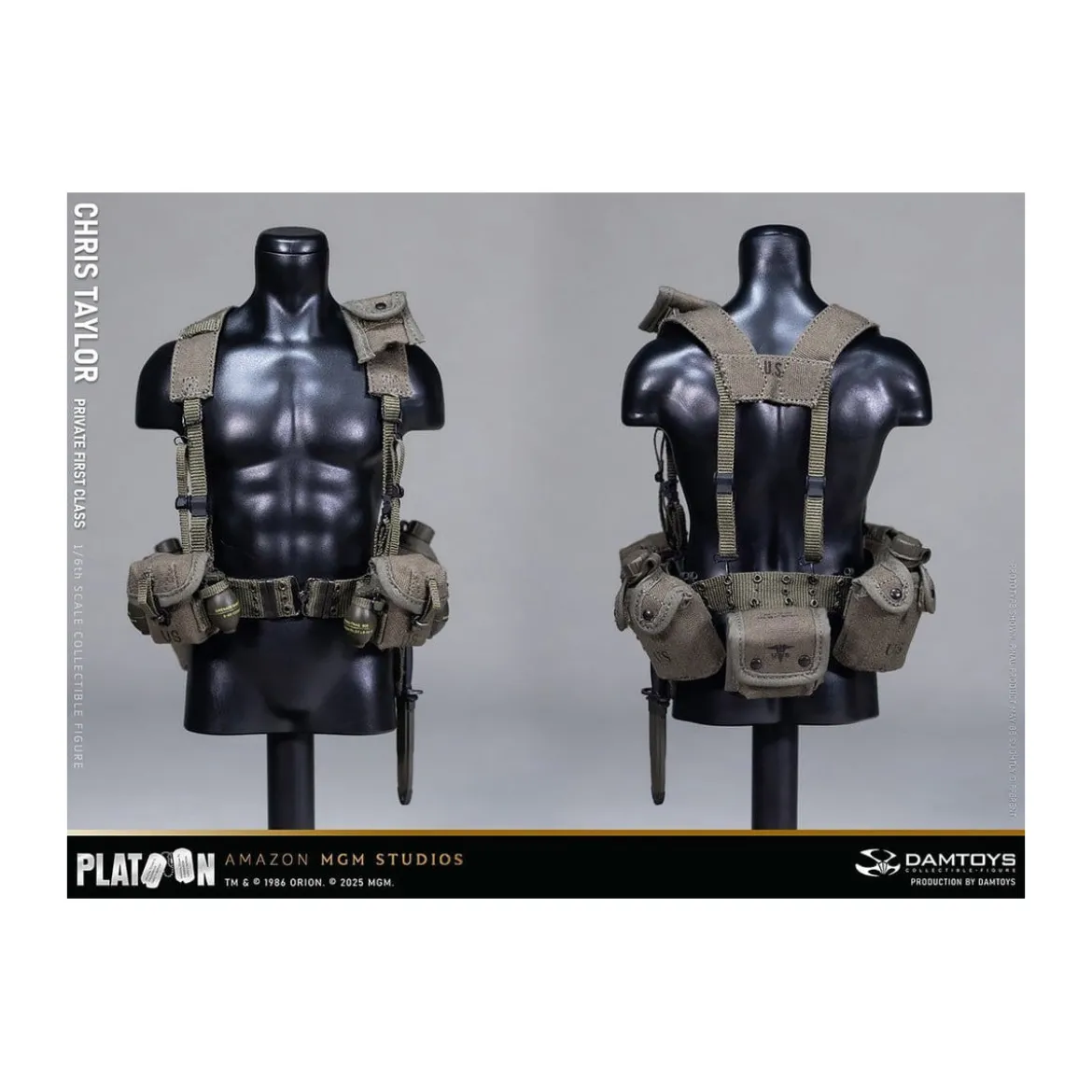 DAMTOYS - Platoon - Chris Taylor 1/6 Collectible
