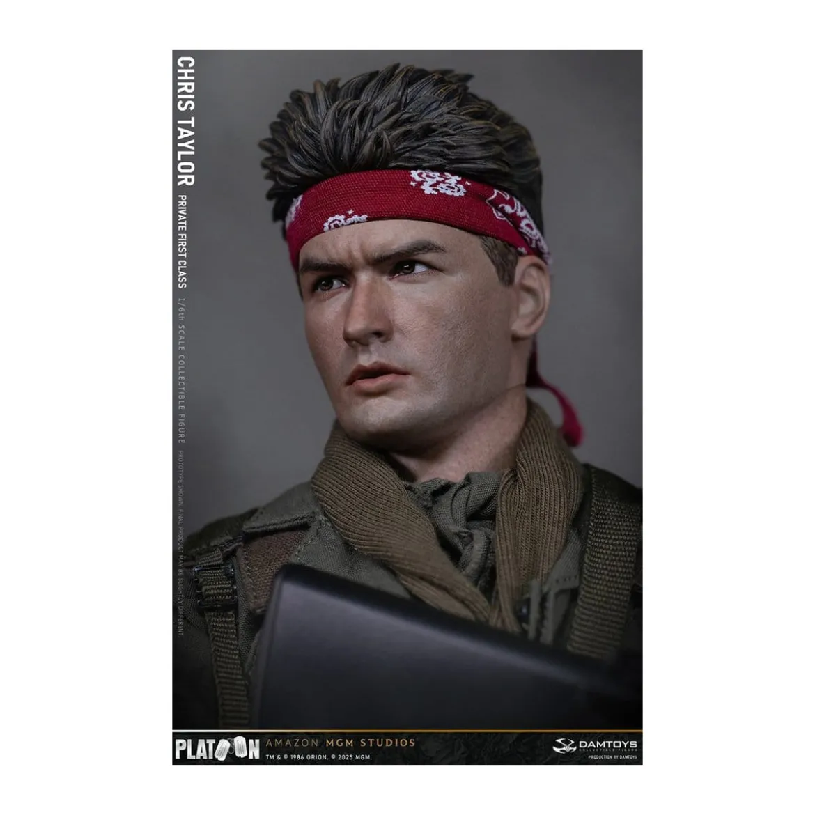 DAMTOYS - Platoon - Chris Taylor 1/6 Collectible