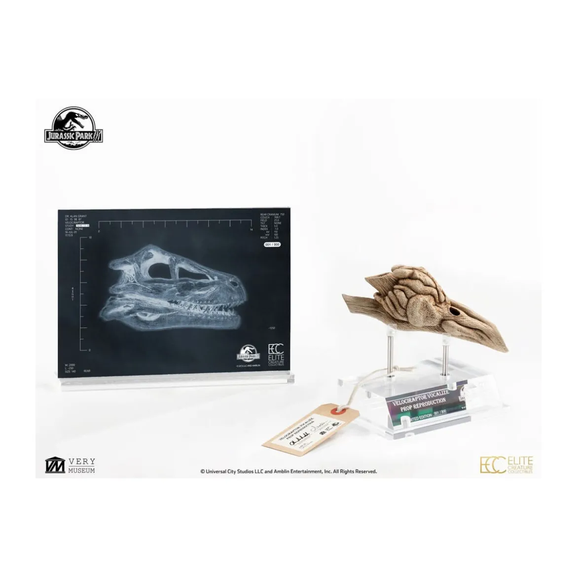 ECC Elite Creature Collectibles - Jurassic Park 3 Velociraptor Resonance Chamber 1/1