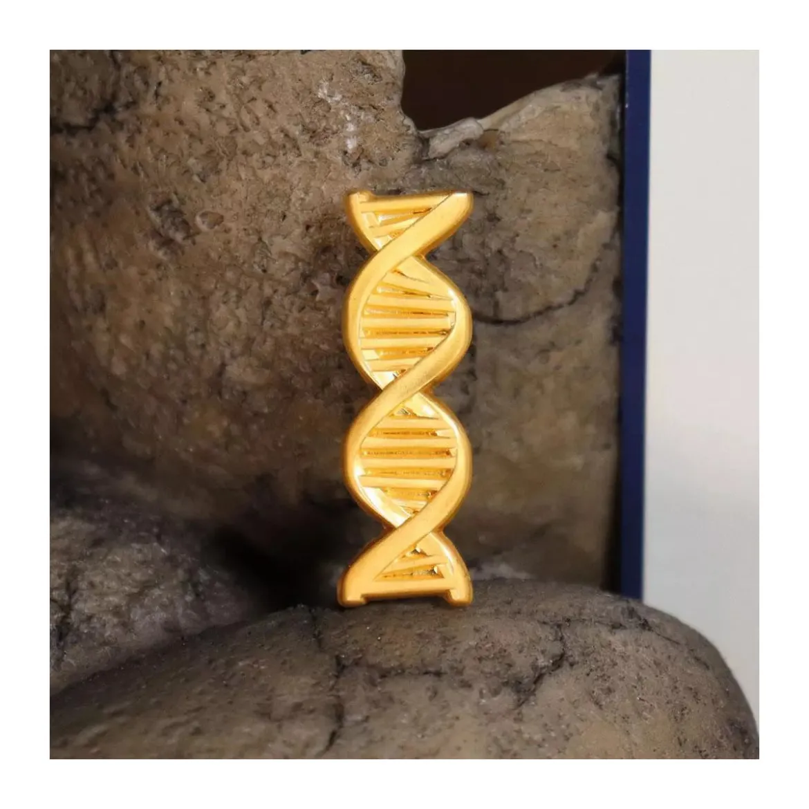 FaNaTtiK - Jurassic Park Genetics Laboratory Service Award