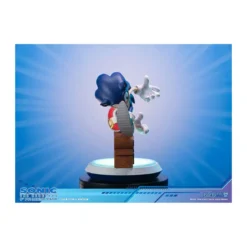 First 4 Figures - Sonic the Hedgehog Collector's Edition - Sonic Adventure