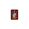 HARRY POTTER - Magnet Metal 6.5 X 9 - Gryffindor Crest