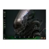 Hot Toys - Alien - Big Chap v2 MMS 1/6