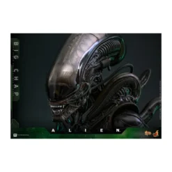 Hot Toys - Alien - Big Chap v2 MMS 1/6