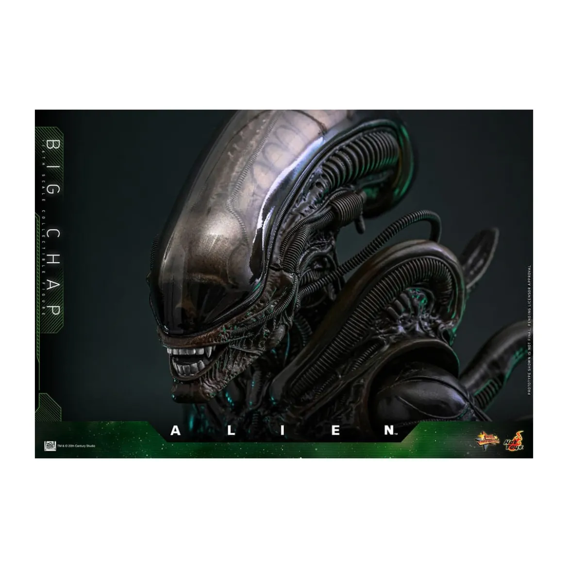 Hot Toys - Alien - Big Chap v2 MMS 1/6