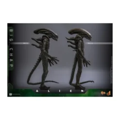 Hot Toys - Alien - Big Chap v2 MMS 1/6