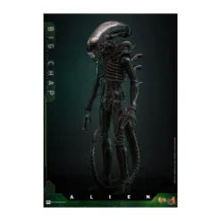 Hot Toys - Alien - Big Chap v2 MMS 1/6