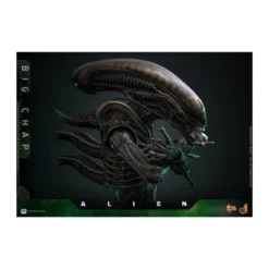 Hot Toys - Alien - Big Chap v2 MMS 1/6