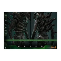 Hot Toys - Alien - Big Chap v2 MMS 1/6