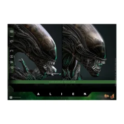 Hot Toys - Alien - Big Chap v2 MMS 1/6