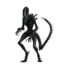 Hot Toys - Alien Romulus - Scorched Xenomorph MMS 1/6