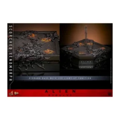 Hot Toys - Alien Romulus - Scorched Xenomorph MMS 1/6
