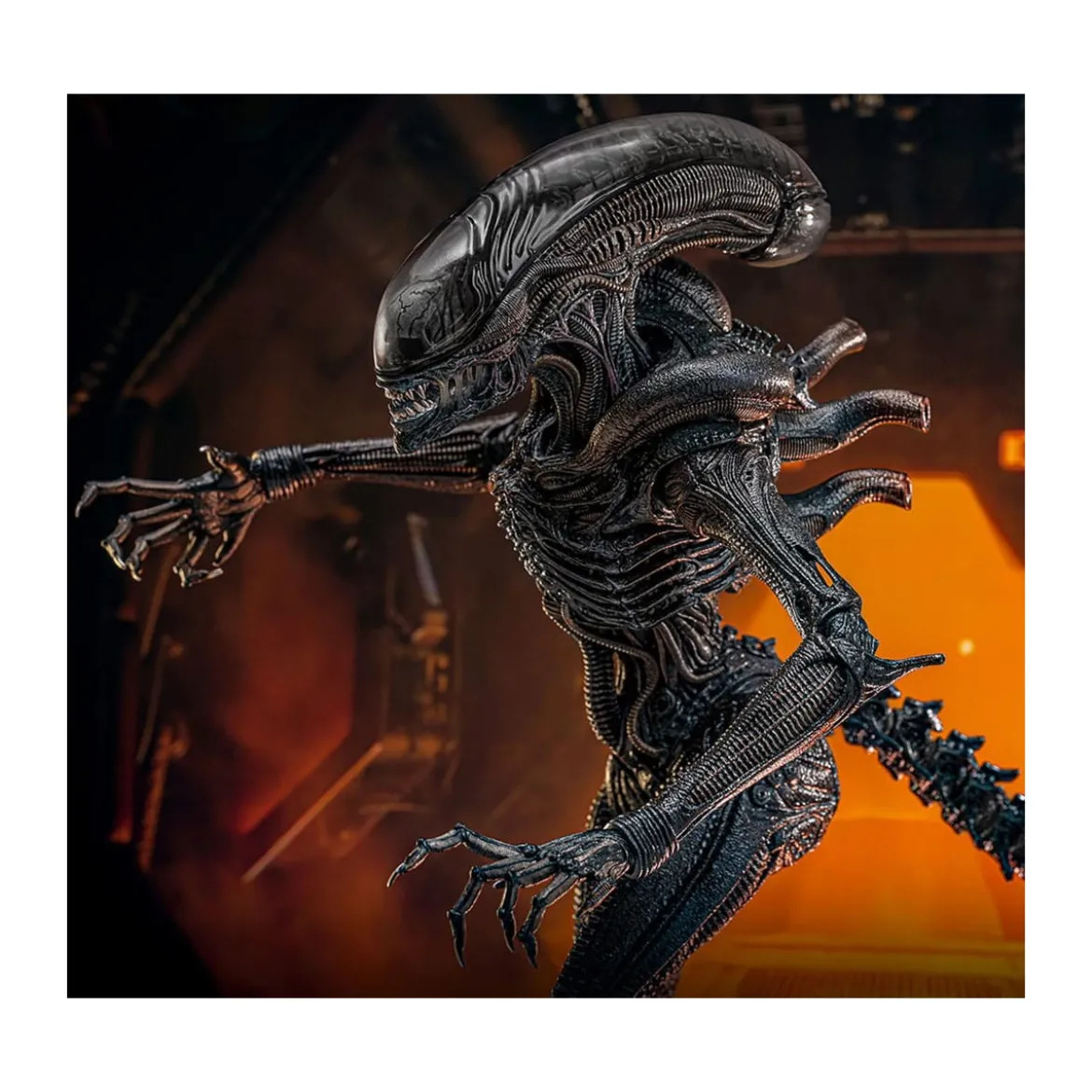 Hot Toys - Alien Romulus - Scorched Xenomorph MMS 1/6