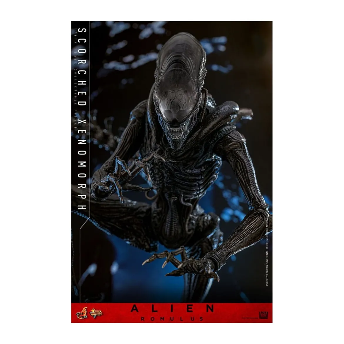 Hot Toys - Alien Romulus - Scorched Xenomorph MMS 1/6