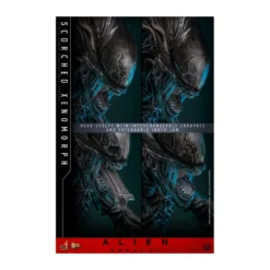 Hot Toys - Alien Romulus - Scorched Xenomorph MMS 1/6