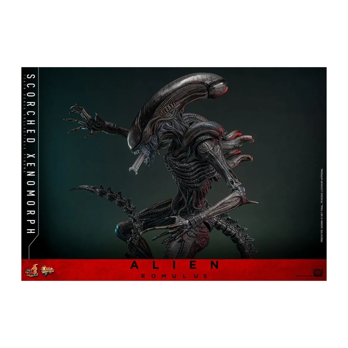 Hot Toys - Alien Romulus - Scorched Xenomorph MMS 1/6