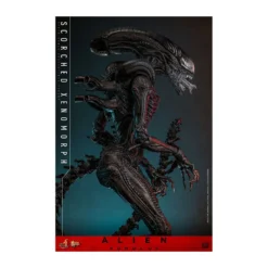 Hot Toys - Alien Romulus - Scorched Xenomorph MMS 1/6