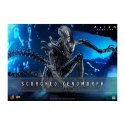 Hot Toys - Alien Romulus - Scorched Xenomorph MMS 1/6