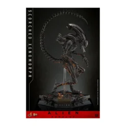 Hot Toys - Alien Romulus - Scorched Xenomorph MMS 1/6