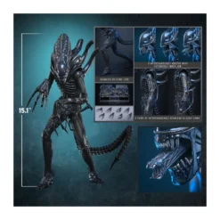 Hot Toys - Aliens - Alien Warrior v2 MMS898 1/6