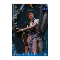 Hot Toys - Aliens - Ellen Ripley Deluxe version MMS895 1/6