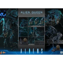 Hot Toys - Aliens 40th Anniversary - ALIEN QUEEN 1/6