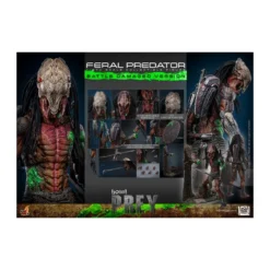 Hot Toys - Feral Predator (Battle Damaged Version) MMS 1/6 - Prey
