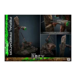 Hot Toys - Feral Predator (Battle Damaged Version) MMS 1/6 - Prey