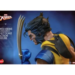 Hot Toys/Hono Studio - Marvel X-Men - Wolverine Unmasked 1/6