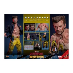 Hot Toys Marvel Deadpool & Wolverine - Wolverine TVA Jacket Version MMS 1/6