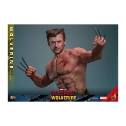 Hot Toys Marvel Deadpool & Wolverine - Wolverine TVA Jacket Version MMS 1/6