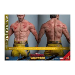Hot Toys Marvel Deadpool & Wolverine - Wolverine TVA Jacket Version MMS 1/6