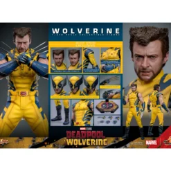 Hot Toys Marvel Deadpool & Wolverine - Wolverine MMS 1/6 Deluxe Version