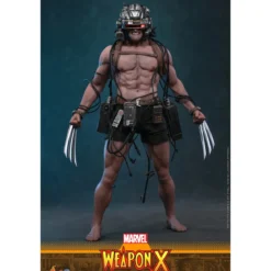 Hot Toys Marvel - Weapon X - Comics Masterpiece 1/6