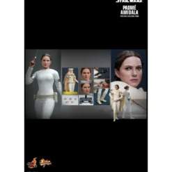 Hot toys - Star Wars Attack of the Clones - Padmé Amidala 1/6