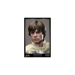 Hot Toys - Star Wars figurine MMS DX 1/6 Luke Skywalker Occasion