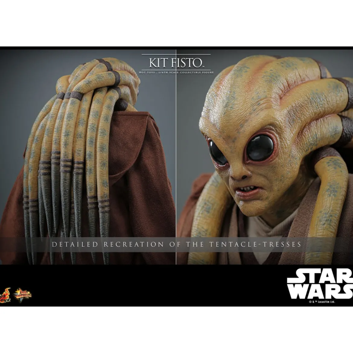 Hot Toys Star Wars - Kit Fisto MMS 1/6