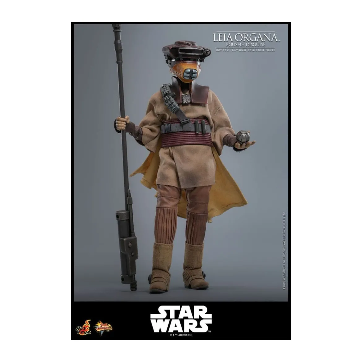 Hot Toys Star Wars Return of the Jedi - Leia Organa (Boussh Disguise) MMS854