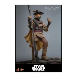 Hot Toys Star Wars Return of the Jedi - Leia Organa (Boussh Disguise) MMS854