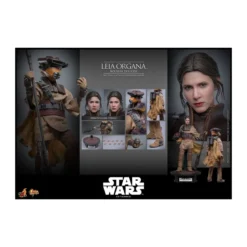 Hot Toys Star Wars Return of the Jedi - Leia Organa (Boussh Disguise) MMS854