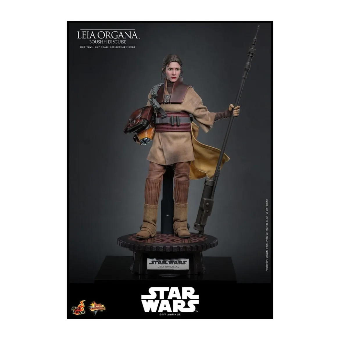 Hot Toys Star Wars Return of the Jedi - Leia Organa (Boussh Disguise) MMS854