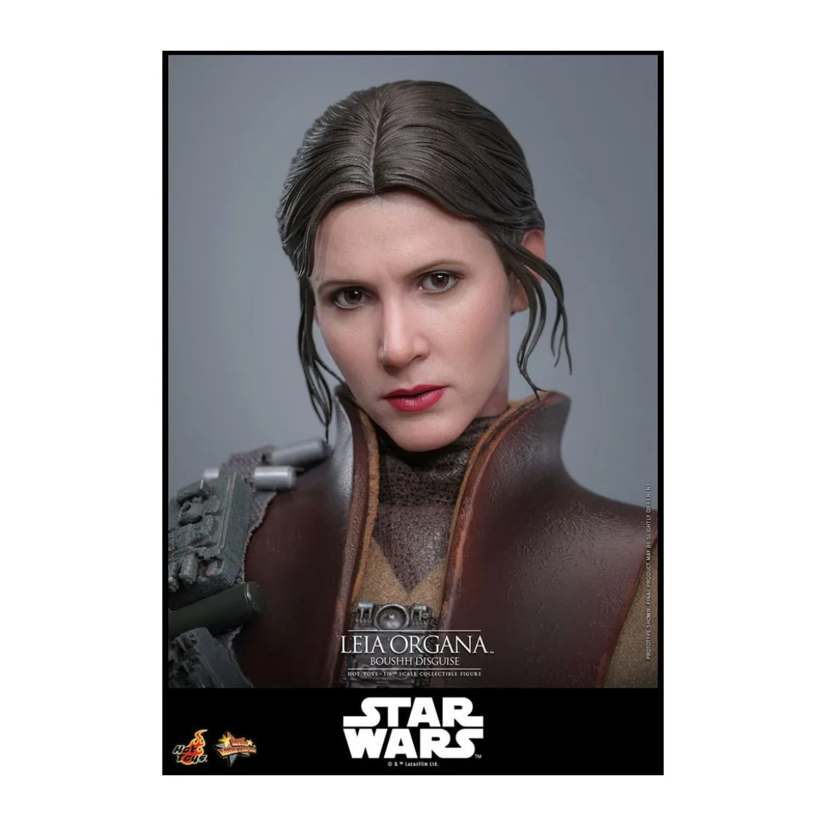 Hot Toys Star Wars Return of the Jedi - Leia Organa (Boussh Disguise) MMS854