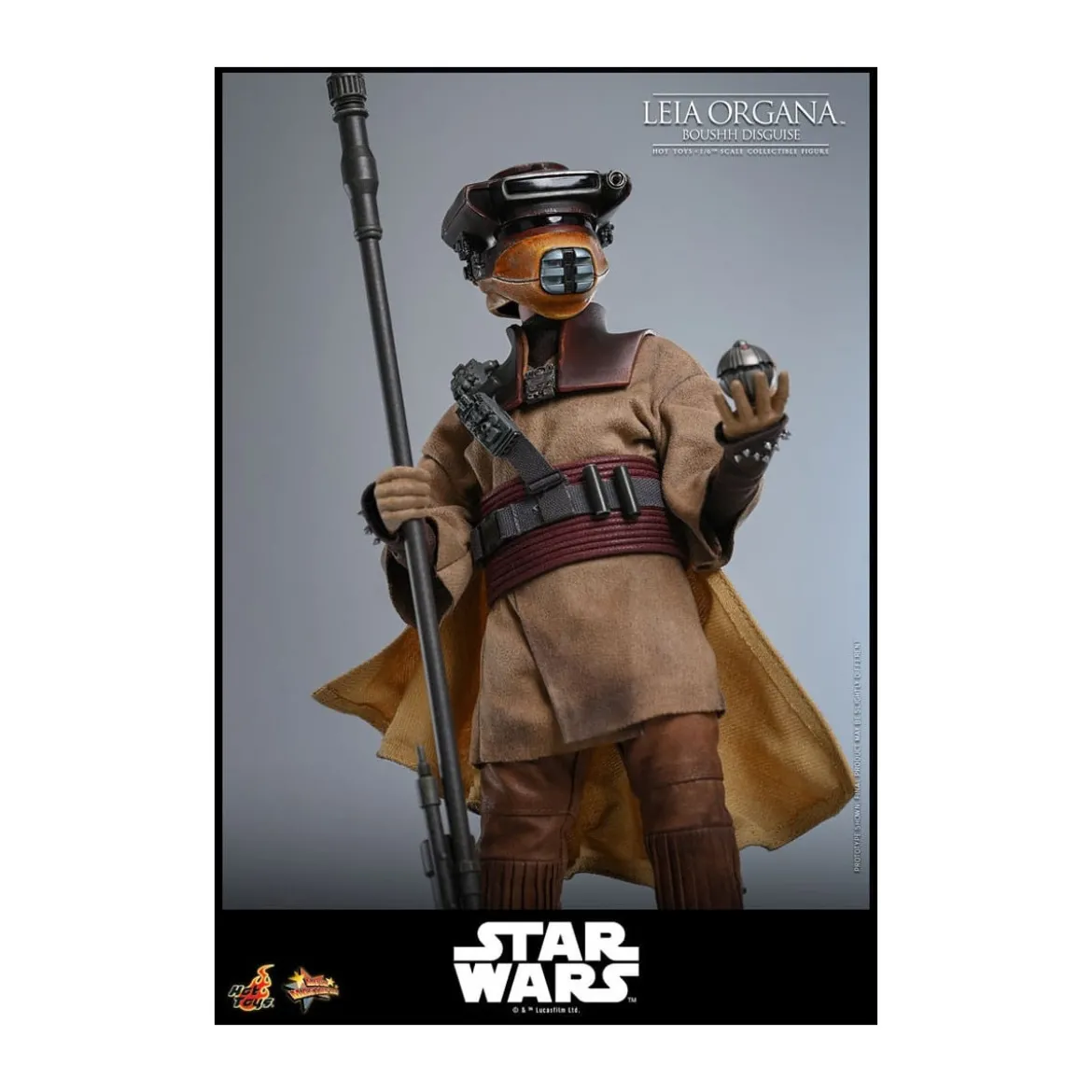 Hot Toys Star Wars Return of the Jedi - Leia Organa (Boussh Disguise) MMS854