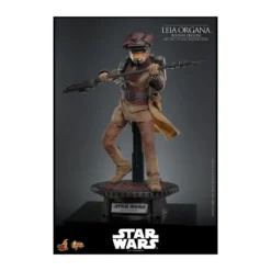 Hot Toys Star Wars Return of the Jedi - Leia Organa (Boussh Disguise) MMS854